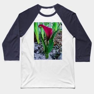 The Red Calla Lily Baseball T-Shirt